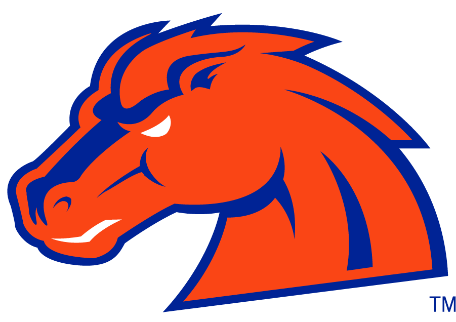 Boise State Broncos 2002-2012 Secondary Logo v14 DIY iron on transfer (heat transfer)